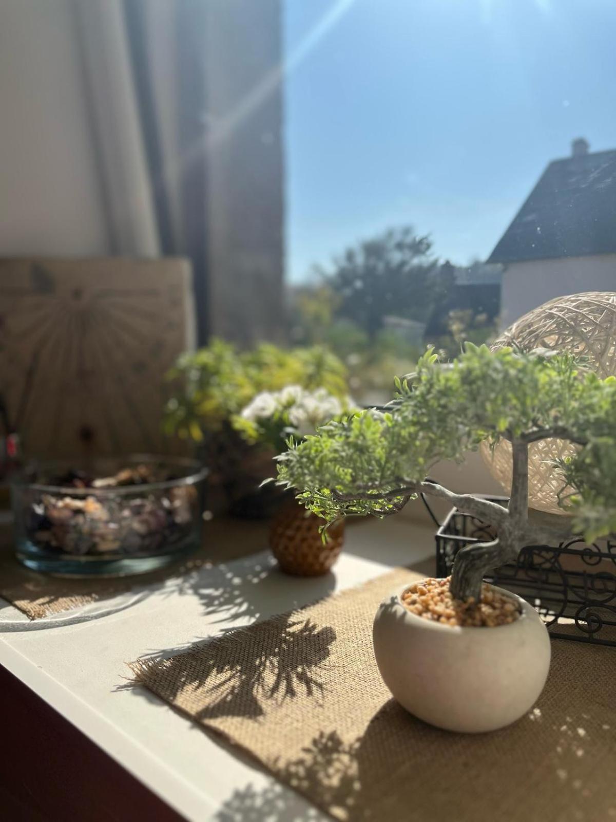 Le Gite De La Menuiserie Maisoncelles-la-Jourdan Zewnętrze zdjęcie